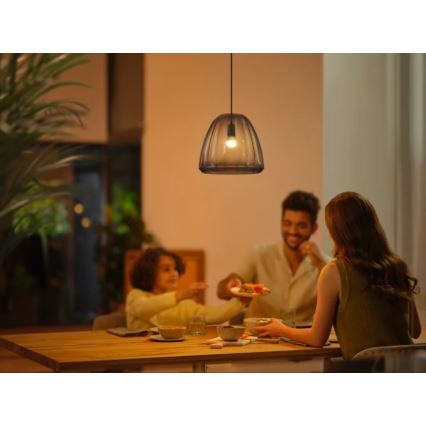 ZESTAW 2x LED Żarówka ściemnialna Philips Hue WHITE AMBIANCE P45 E14/5,1W/230V 2200-6500K