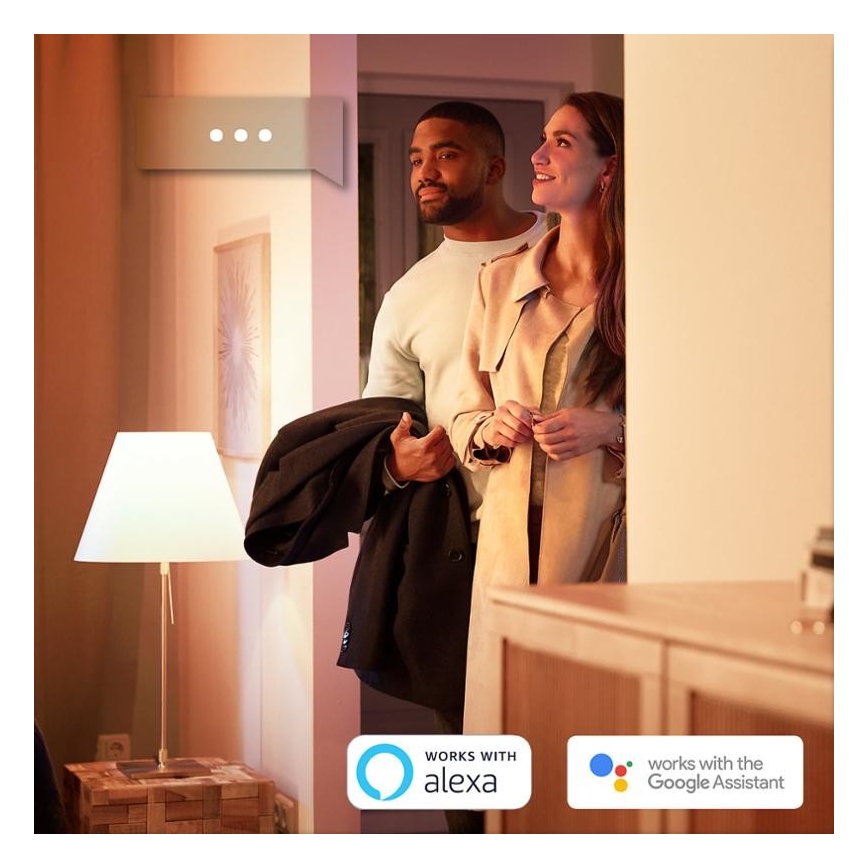 ZESTAW 2x LED Żarówka ściemnialna Philips HUE WHITE E27/9W/230V