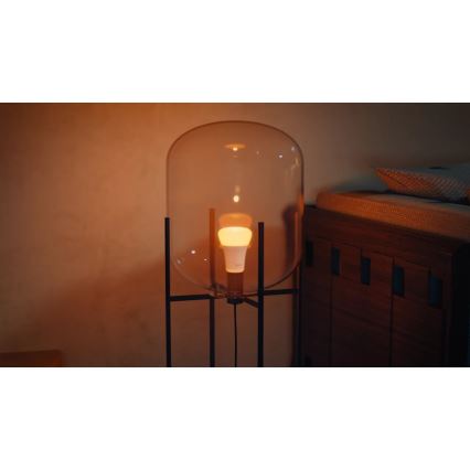 Zestaw 2x ściemnialnych żarówek LED Philips Hue WHITE AND COLOR AMBIANCE E27/6W/230V 1000-20000K