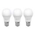 ZESTAW 3x LED Żarówka ECOLINE A60 E27/10W/230V 6500K - Brilagi