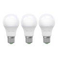 ZESTAW 3x LED Żarówka ECOLINE A60 E27/15W/230V 6500K - Brilagi