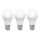 ZESTAW 3x LED Żarówka ECOLINE A60 E27/15W/230V 6500K - Brilagi