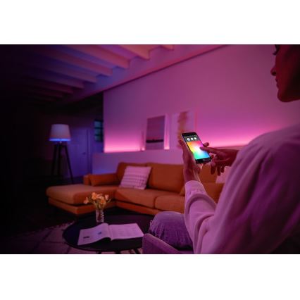 Zestaw podstawowy Philips Hue WHITE AND COLOR AMBIANCE 2×E27/9W/230V 2000-6500K + urządzenie łączące