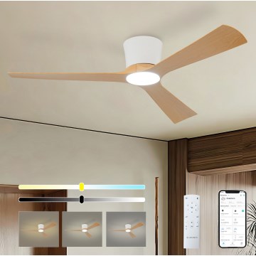 ZEVENTI - LED ściemnialny wentylator sufitowy AUREX LED/24W/230V 3000/4000/6000K Wi-Fi Tuya biały/dąb + pilot zdalnego sterowania