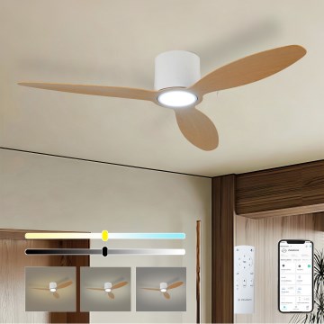 ZEVENTI - LED ściemnialny wentylator sufitowy VENTORA LED/24W/230V 3000/4000/6000K Wi-Fi Tuya biały/dąb + pilot zdalnego sterowania