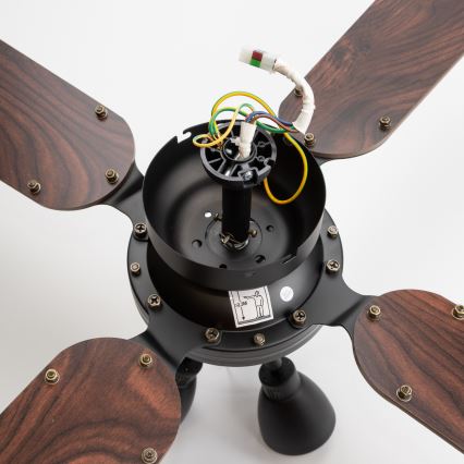 ZEVENTI - Wentylator sufitowy ZURRIOLA 3xGU10/50W/230V