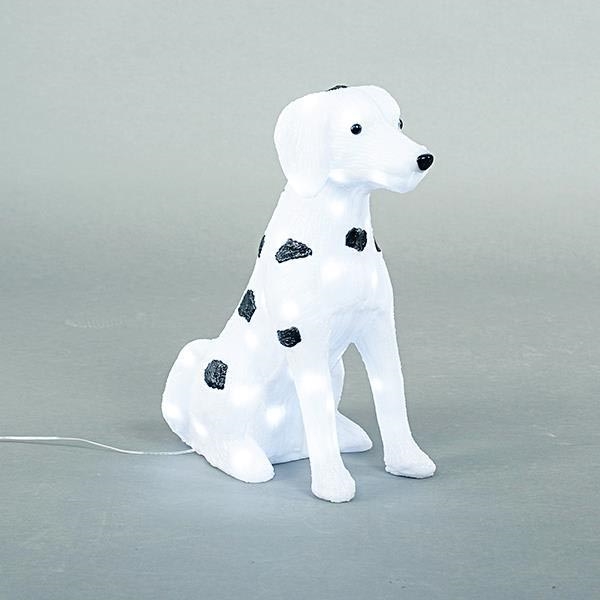 Zewnętrzna dekoracja LED LED/3,6W/230V IP44 zimna biel wzór dalmatyński