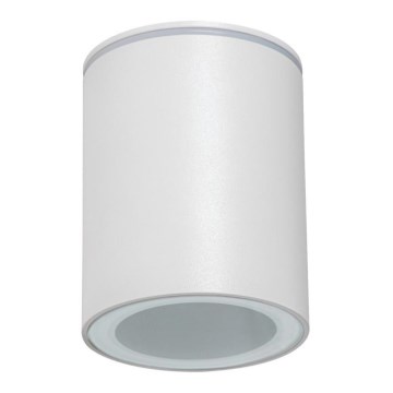 Zewnętrzna oprawa punktowa AQILO 1xGU10/7W/230V IP65 biała