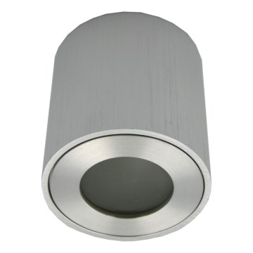 Zewnętrzna oprawa punktowa FARA 1xGU10/30W/230V IP54 srebrna