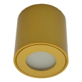 Zewnętrzna oprawa punktowa FARA 1xGU10/30W/230V IP54 złota