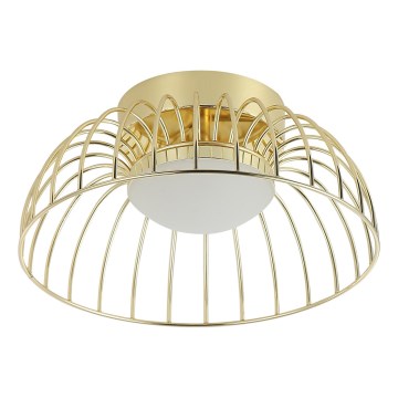 Złota lampa sufitowa LED BETSY LED/12W/230V, średnica 25 cm