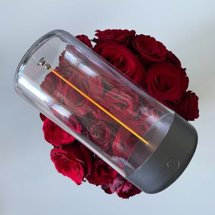 Zuma Line - LED regulowana jasność ładowalna lampa stołowa LED/0,5W/230V czarna IP54