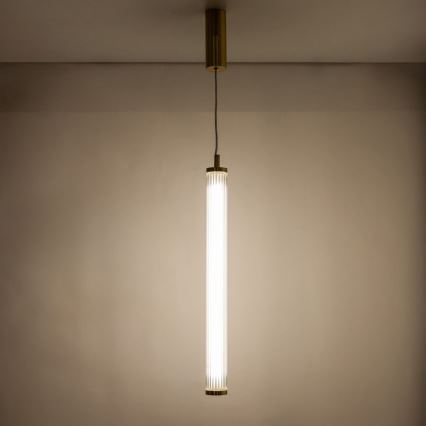 Zuma Line - LED ściemnialny żyrandol na lince LED/26W/230V 2700-6500K złoty + zdalne sterowanie