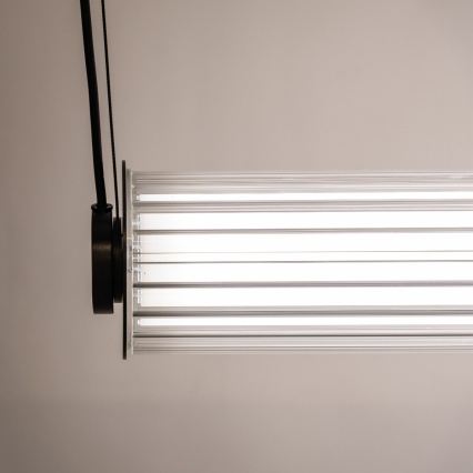 Zuma Line - ściemnialny żyrandol wiszący na lince LED/39W/230V 2700-6500K czarny + pilot zdalnego sterowania