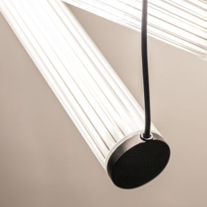 Zuma Line - LED ściemnialny żyrandol na linkach LED/64W/230V 2700-6500K czarny + pilot zdalnego sterowania