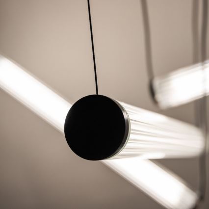 Zuma Line - LED ściemnialny żyrandol na linkach LED/64W/230V 2700-6500K czarny + pilot zdalnego sterowania