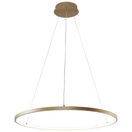 Zuma Line - LED Żyrandol na lince LED/28W/230V 3000/4000/6000K śr. 60 cm złoty
