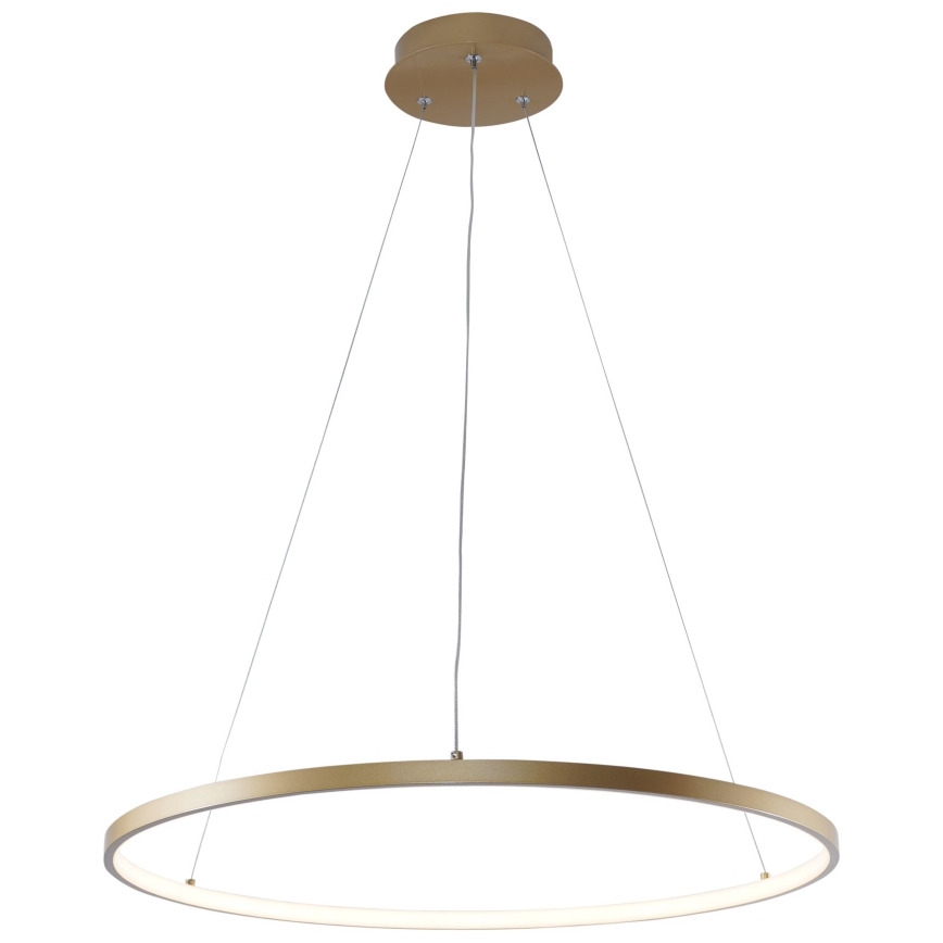 Zuma Line - LED Żyrandol na lince LED/28W/230V 3000/4000/6000K śr. 60 cm złoty