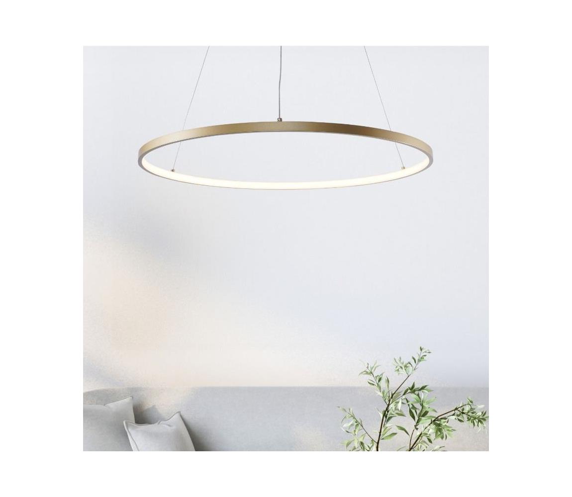 Zuma Line 2023201-GD80 - LED Żyrandol na lince BRENO LED/36W/230V 3000/4000/6000K