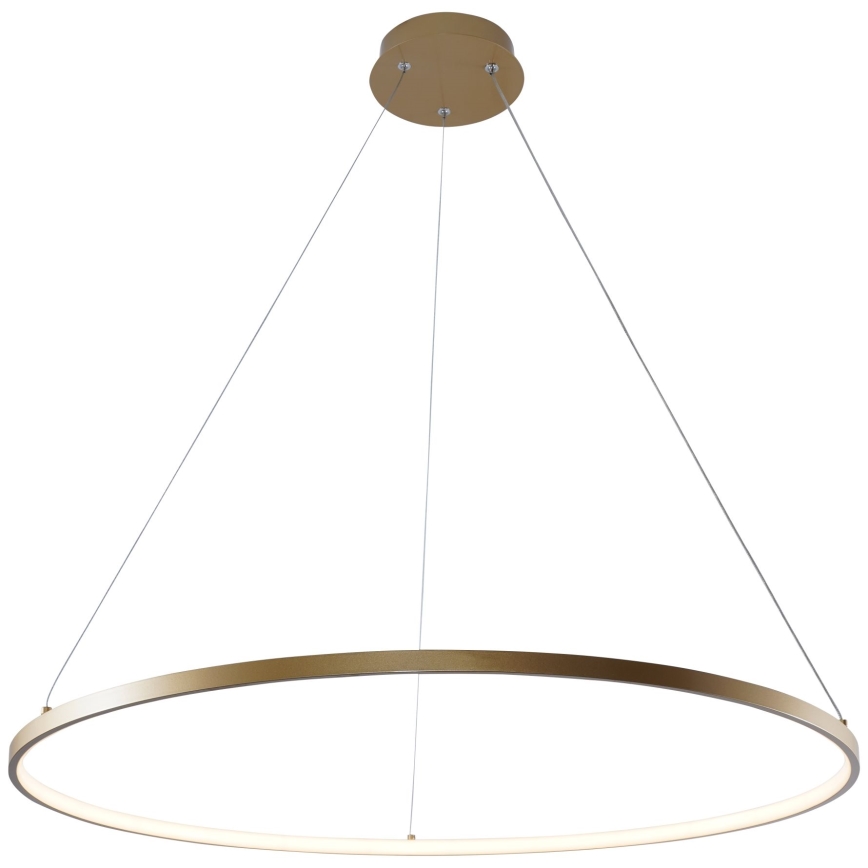 Zuma Line - LED Żyrandol na lince LED/36W/230V 3000/4000/6000K śr. 80 cm złoty