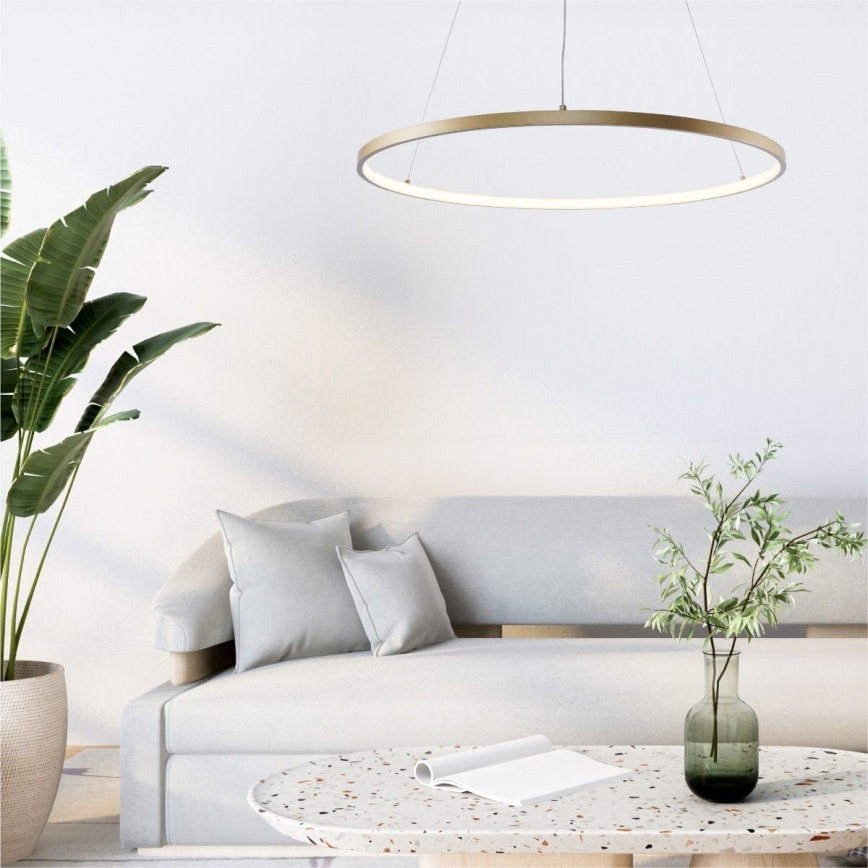 Zuma Line - LED Żyrandol na lince LED/36W/230V 3000/4000/6000K śr. 80 cm złoty