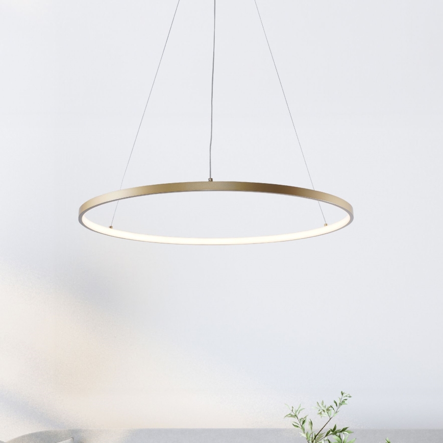 Zuma Line - LED Żyrandol na lince LED/36W/230V 3000/4000/6000K śr. 80 cm złoty