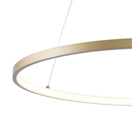 Zuma Line - LED Żyrandol na lince LED/36W/230V 3000/4000/6000K śr. 80 cm złoty