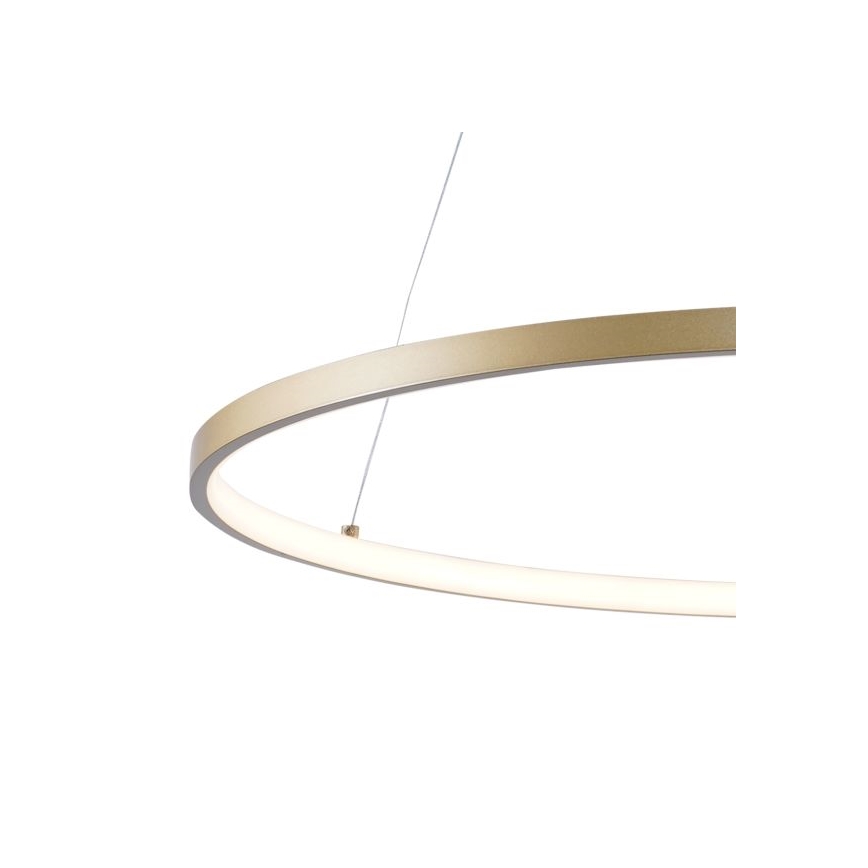 Zuma Line - LED Żyrandol na lince LED/36W/230V 3000/4000/6000K śr. 80 cm złoty