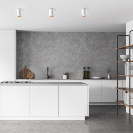 Zuma Line - LED RGBW ściemnialna oprawa punktowa 1xGU10/6W/230V biała + pilot zdalnego sterowania