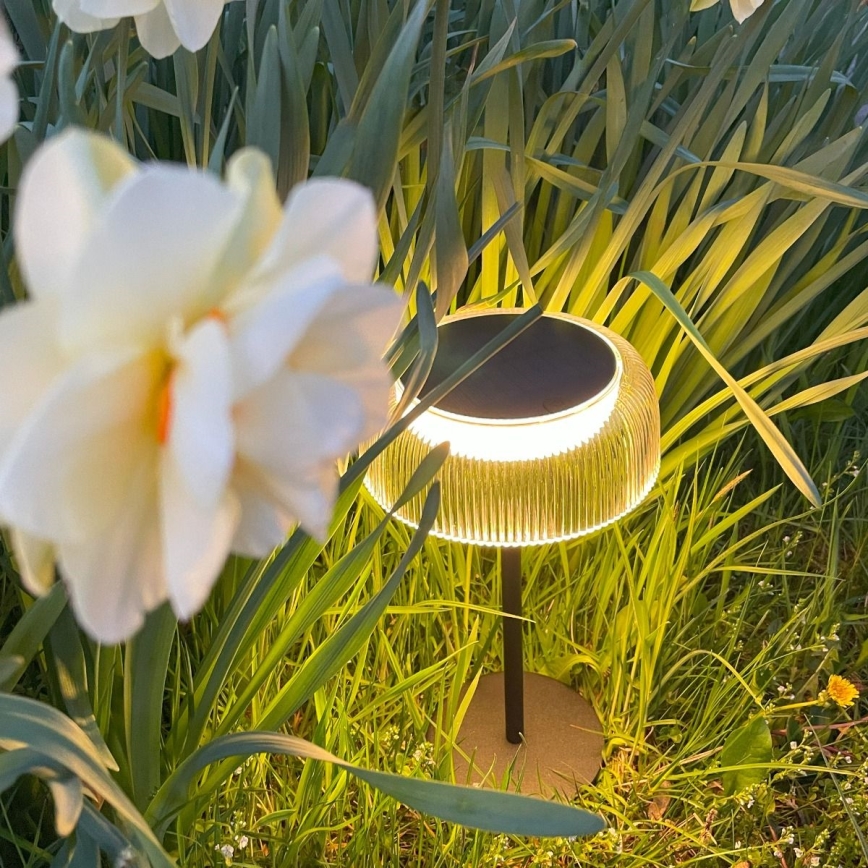 Zuma Line - LED Ściemnialna solární akumulatorowa Lampa stołowa LED/2,5W/2000 mAh IP44 czarny
