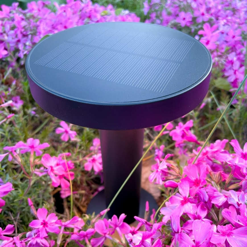 Zuma Line - LED regulowana jasność solarny lampka stołowa LED/2W/2000 mAh IP44 czarna