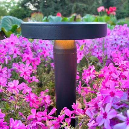 Zuma Line - LED regulowana jasność solarny lampka stołowa LED/2W/2000 mAh IP44 czarna