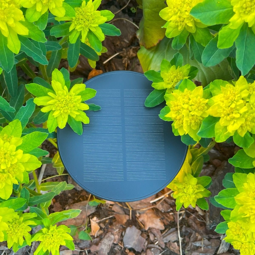 Zuma Line - LED regulowana jasność solarny lampka stołowa LED/2W/2000 mAh IP44 czarna