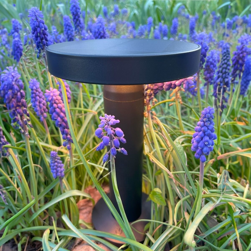 Zuma Line - LED Ściemnialna akumulatorowa lampa stołowa solarna LED/2W/2000 mAh IP44 czarny