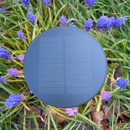 Zuma Line - LED Ściemnialna akumulatorowa lampa stołowa solarna LED/2W/2000 mAh IP44 czarny