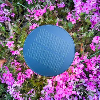 Zuma Line - LED Ściemnialna akumulatorowa lampa stołowa solarna LED/2W/2000 mAh IP44 czarny