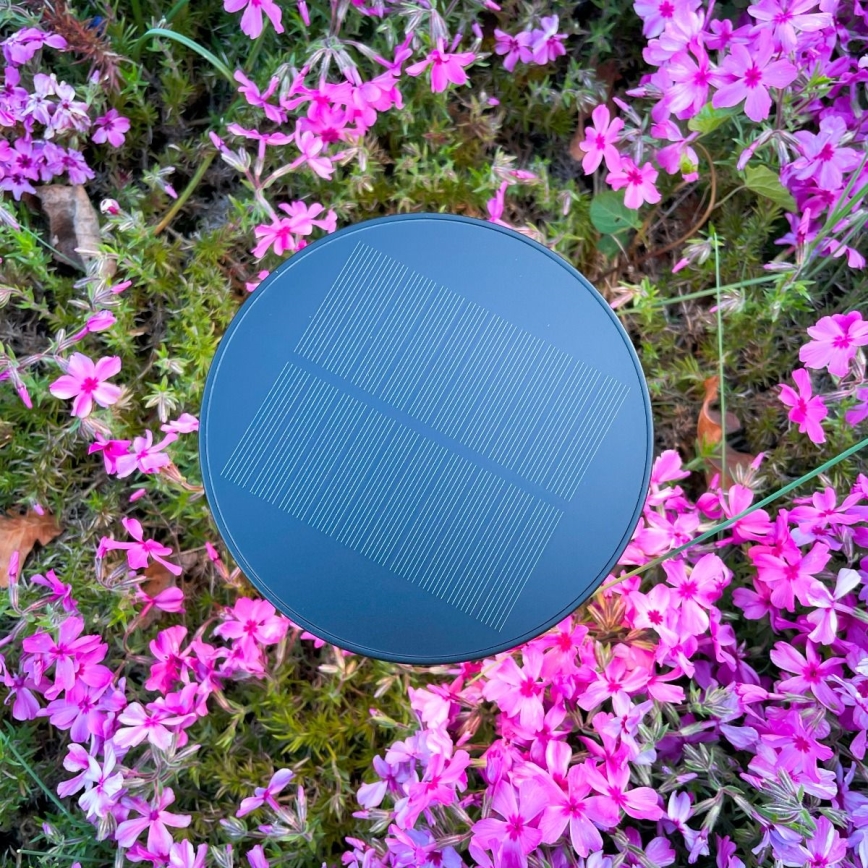 Zuma Line - LED Ściemnialna akumulatorowa lampa stołowa solarna LED/2W/2000 mAh IP44 czarny