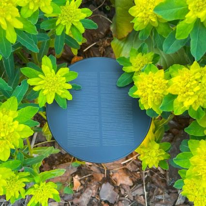 Zuma Line - LED Ściemnialna akumulatorowa lampa stołowa solarna LED/2W/2000 mAh IP44 czarny