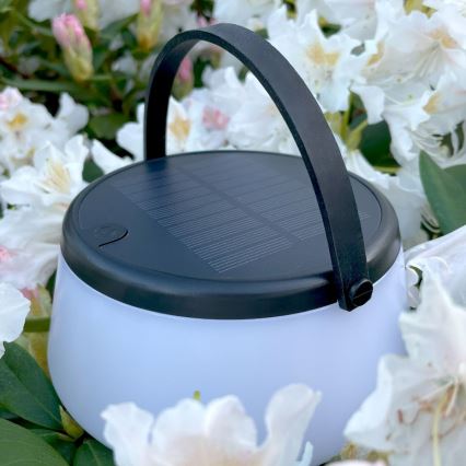Zuma Line - Regulowana jasność LED Solarna lampka stołowa LED/2,2W/2000 mAh IP44 czarna