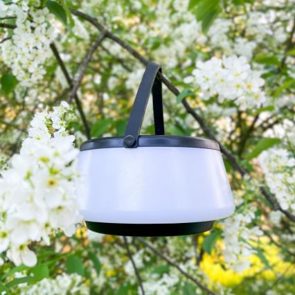 Zuma Line - LED Ściemnialna solární akumulatorowa Lampa stołowa LED/2,2W/2000 mAh IP44 czarny