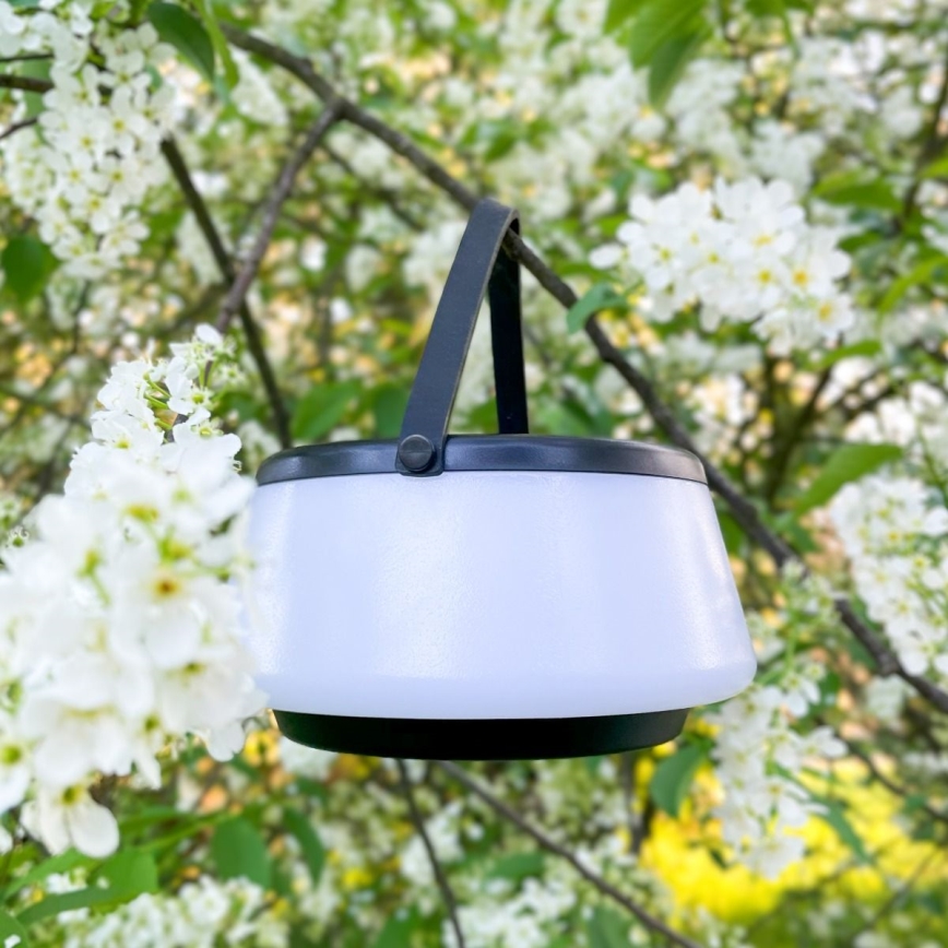 Zuma Line - LED Ściemnialna solární akumulatorowa Lampa stołowa LED/2,2W/2000 mAh IP44 czarny