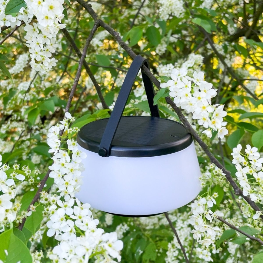 Zuma Line - LED Ściemnialna solární akumulatorowa Lampa stołowa LED/2,2W/2000 mAh IP44 czarny