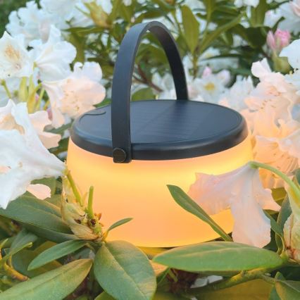 Zuma Line - LED Ściemnialna solární akumulatorowa Lampa stołowa LED/2,2W/2000 mAh IP44 czarny