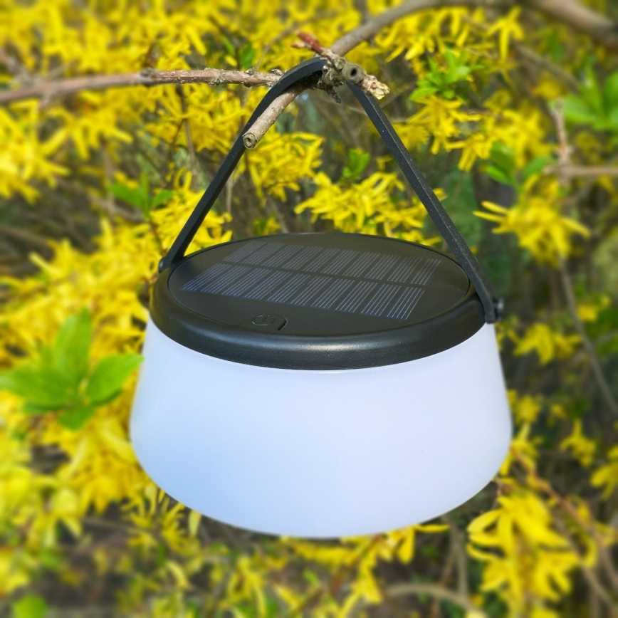 Zuma Line - LED Ściemnialna solární akumulatorowa Lampa stołowa LED/2,2W/2000 mAh IP44 czarny
