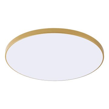 Zuma Line - Lampa sufitowa LED VERI LED/32W/230V, średnica 37 cm, złota