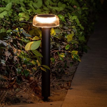 Zuma Line - LED Lampa solarna LED/2,5W/2000 mAh IP44 czarny