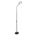 Zuma Line - LED Lampa stojąca ściemnialna LED/10W/230V 3000/4500/6500K czarna
