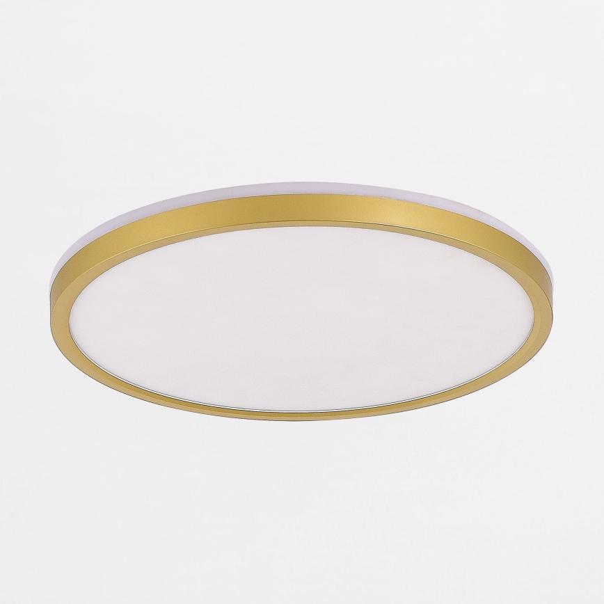 Zuma Line - LED Plafon ściemnialny LED/38W/230V + LED/11W 3000/4000/5500K śr. 50 cm złoty