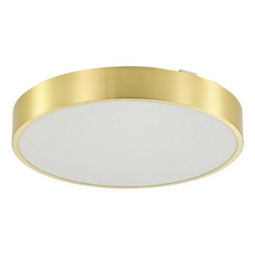 Zuma Line - LED Ściemnialny plafon łazienkowy LED/50W/230V 3000-6000K śr. 50 cm IP44 złoty + zdalne sterowanie