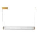 Zuma Line - LED Ściemnialny żyrandol na lince LED/39W/230V 2700-6500K złoty + pilot zdalnego sterowania